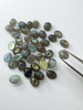 Labradoryt naturalny kaboszon owal 9x7 mm