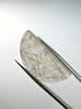Kwarc z rutylem półkole 35,8x16,8 mm