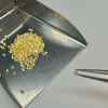 Żółty szafir naturalny okrągły fasetowany fi 1,5 mm