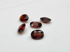 Granat rodolit owal fasetowany 4x3 mm